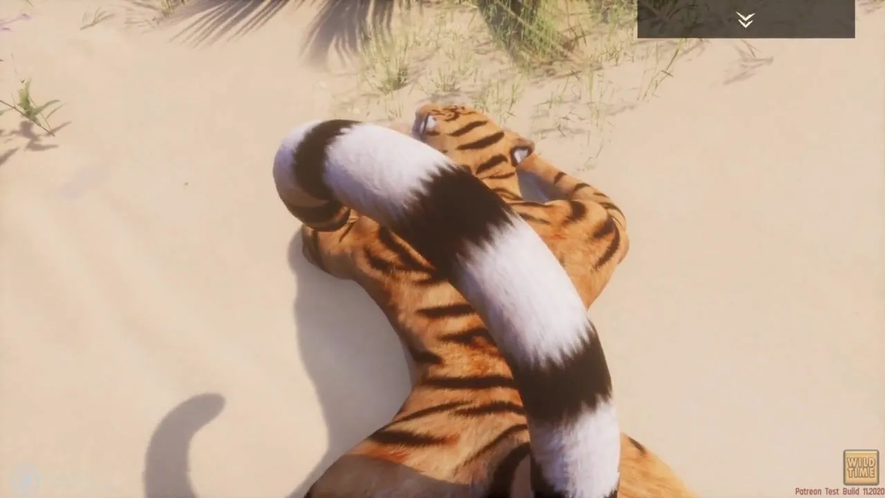 Free Wild Life / Tiger Yiff Porn POV Porn Video