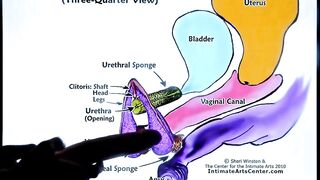 SQUIRTING TUTORIAL two !!! Mr PussyLicking